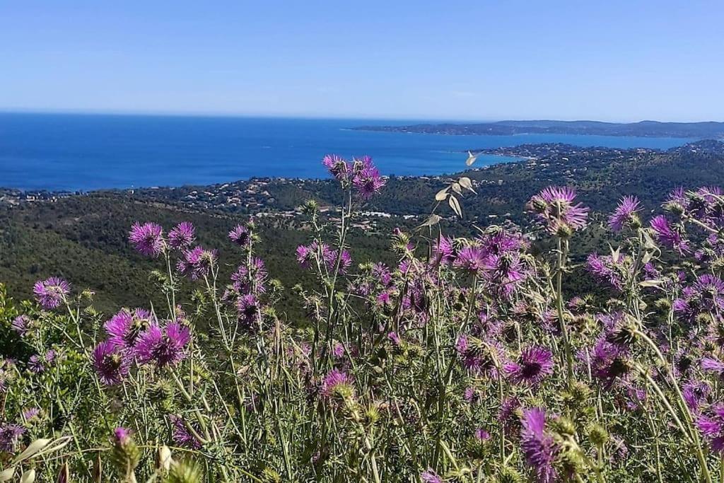 Aphrodite By Kleidos - Tres Belle Maison 6 P Climatisee Golfe Sainte Maxime รอกเกอบรูน-ซูร์-อาร์ฌ็องส์ ภายนอก รูปภาพ